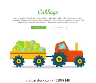 Cabbage farm conceptual banner. Flat design