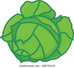 Cabbage filled vegetable colored vector icon