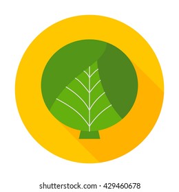Cabbage flat circle icon. Vector illustration of fresh vegetable food.