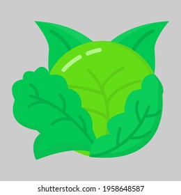 cabbage flat icon illustration vector graphic