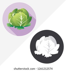 Cabbage flat vector icon. Illustration of black and white icons