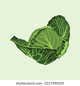 Clip-art Cabbage Fresh Green Vetor