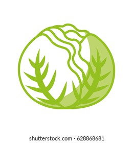 cabbage fresh vegetable icon