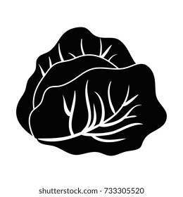 cabbage fresh vegetable icon