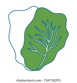 cabbage fresh vegetable icon