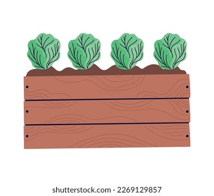 diseño de jardín de col sobre blanco