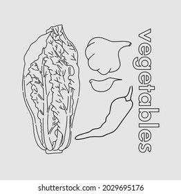 
Cabbage, garlic and pepper. Vector. Color and line.