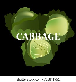 Cabbage green