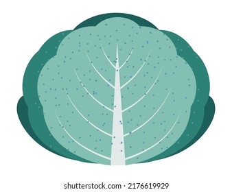 Cabbage with green leaves, isolated fresh vegetable for salads. Cooking ingredients, healthy dieting and nutrition. Veggie organic and natural product harvested at farm. Vector in flat style