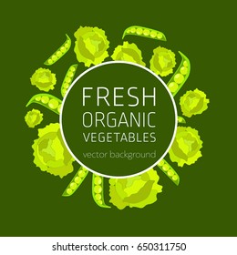 Cabbage, green peas, abstract vegetable postcard, fresh organic vegetables, vector illustration, healthy eating, vector background