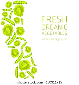 Cabbage, green peas, abstract vegetable postcard, fresh organic vegetables, vector illustration, healthy eating, vector background