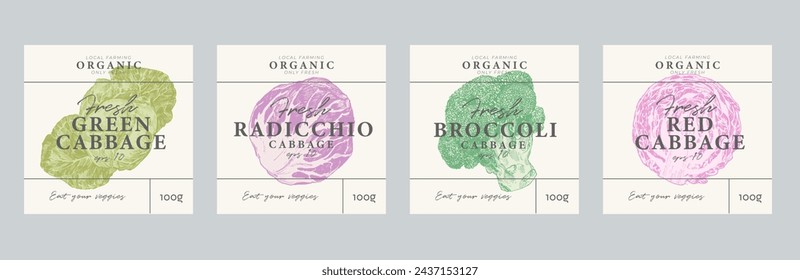 Cabbage hand drawn illustrations, modern packaging design, label background templates