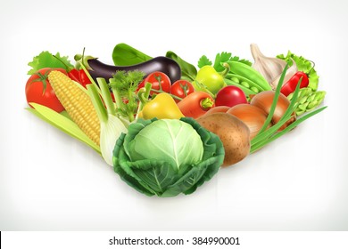 Cabbage, harvest juicy and ripe vegetables vector illustration