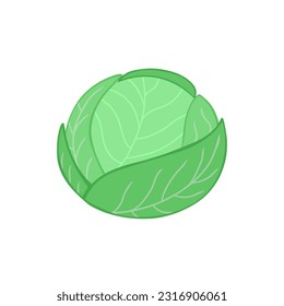 Cabbage, harvest, vegetable. Vector Illustration for printing, backgrounds, covers and packaging. Image can be used for greeting cards, posters, stickers and textile. Isolated on white background.