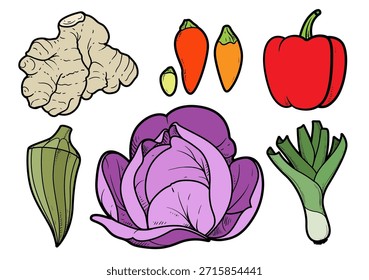 Cabeza de repollo, pimiento, pimiento picante, quimbombó, raíz de jengibre, ilustración de color chalota con contorno sobre fondo blanco