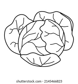 Cabbage head in cartoon style. Black and white vector illustration for coloring book