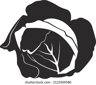 Cabbage head with leaves. Organic food, cereals. Flat black silhouette. Vector image isolated on a white background.