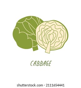 Cabbage head on a white background. Vector flat illustration with green vegetables. Organic plant food