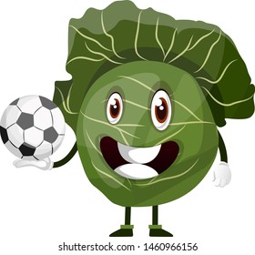 Cabbage is holding a soccer ball, illustration, vector on white background.