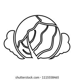 Cabbage icon black color