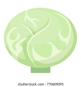 Cabbage icon. Cartoon illustration of cabbage vector icon for web