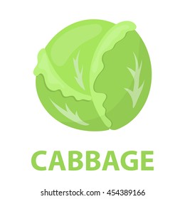 Cabbage icon cartoon. Singe vegetables icon from the eco food collection - stock vector