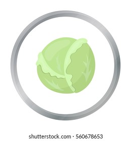 Cabbage icon cartoon. Singe vegetables icon from the eco food cartoon.