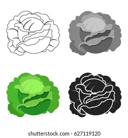 Cabbage icon cartoon. Single plant icon from the big farm, garden, agriculture cartoon.