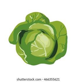 Icono de col con estilo de caricatura. Objeto aislado. Comida orgánica. Ilustración vectorial.