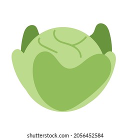 Cabbage icon cartoon vector illustration