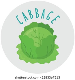 Cabbage icon clipart isolated vector illustration