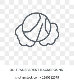 Cabbage icon. Cabbage design concept from Fruit and vegetables collection. Simple element vector illustration on transparent background.