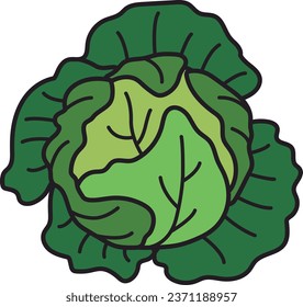 Cabbage icon. Flat color vector illustration. Isolated on white background.