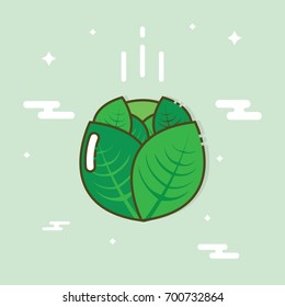 Cabbage icon in flat design