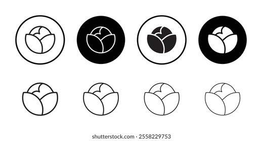 Cabbage icon Flat line illustration