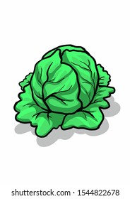 Cabbage icon in flat style. Isolated object. Cabbage logo. Vegetable from the garden. Organic food. Vector illustration.