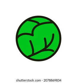 cabbage icon. green flat cabbage