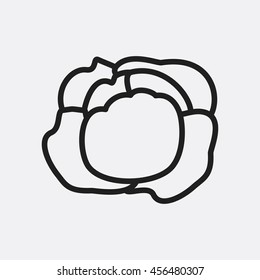 Cabbage icon illustration isolated vector sign symbol