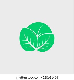 cabbage icon illustration isolated vector sign symbol