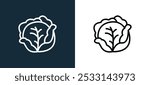 cabbage icon isolated on white and black colors. cabbage outline linear vector icon from vegetarian collection for mobile apps, web and ui.