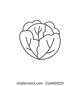Cabbage icon in line style icon, isolated on white background