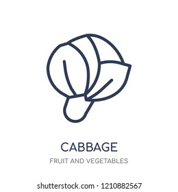 Cabbage icon. Cabbage linear symbol design from Fruit and vegetables collection. Simple outline element vector illustration on white background.