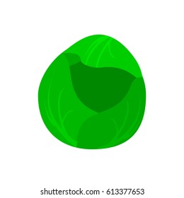cabbage icon. Modern simple flat vegetarian sign. Fresh Food, internet concept. Trendy natural symbol for website design, web button, mobile app. Logo illustration