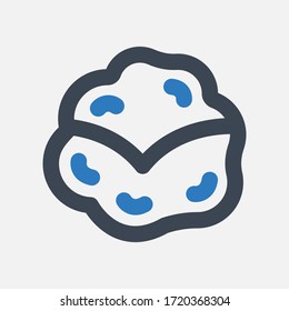 Cabbage Icon on white background