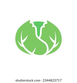 cabbage icon on a white background, vector illustration