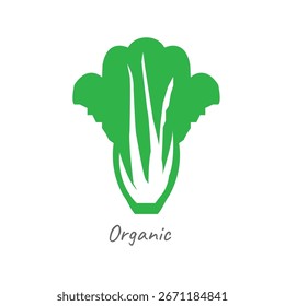 Cabbage icon on white background