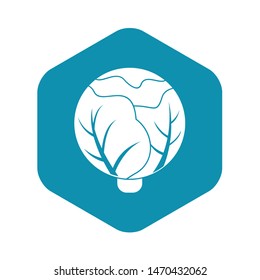 Cabbage icon. Simple illustration of cabbage vector icon for web