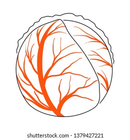 Cabbage Icon. Thin Line With Orange Fill Design. Vector Illustration.