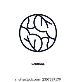 cabbage icon. Thin line cabbage icon from vegetables and fruits collection. Outline vector isolated on white background. Editable cabbage symbol can be used web and mobile