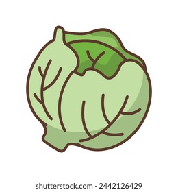 Cabbage icon vector design template